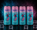 Kepler Zero - Bord de mer Sour - Paquet de 4 x 355 ml