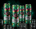 Romeo's Gin - Mojito (Lime, Menthe & Melon d'eau) - Paquet de 4 x 355 ml